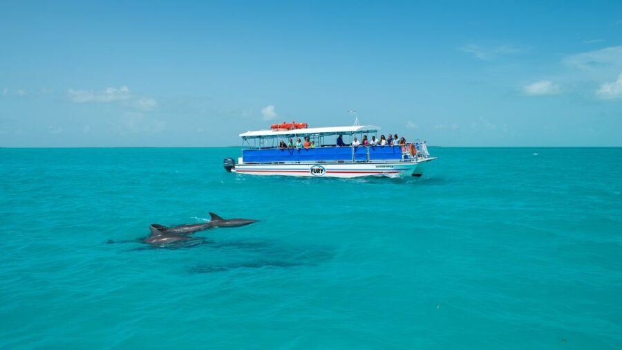 Key West: Dolphin Watching and Snorkeling Eco Cruise Tour - Late afternoon and sunset: when to go for the best views