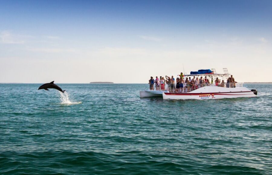 Key West: Dolphin Watching and Snorkeling Sunset Cruise - The Snorkeling Stop: Reef Time and What You Can Actually See
