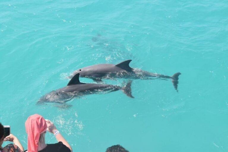 Key West: Dolphin Watching and Snorkeling Sunset Cruise - Climbing Aboard the Sunset One: The Pre-Departure Feel