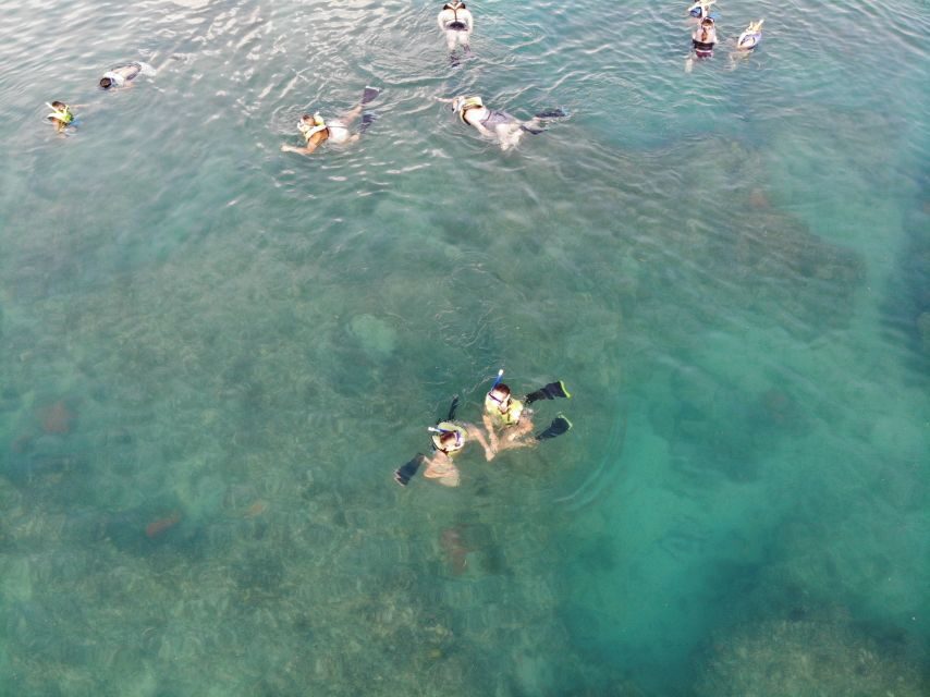 Key West: Dolphin Watching and Snorkeling Sunset Cruise - Price and Value: Why $79 Can Make Sense