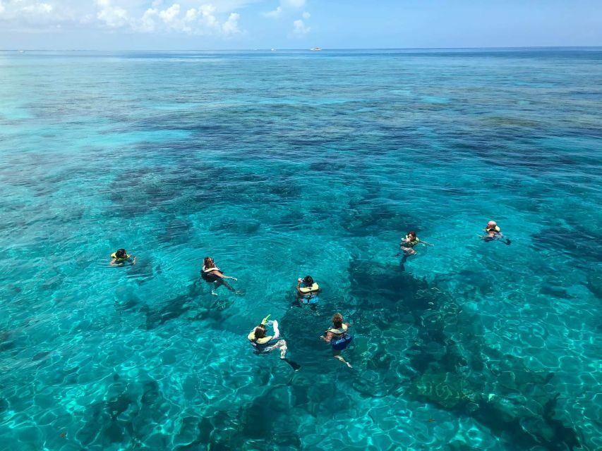 Key West: Dolphin Watching and Snorkeling Sunset Cruise - What to Bring (and What Helps You Enjoy It More)
