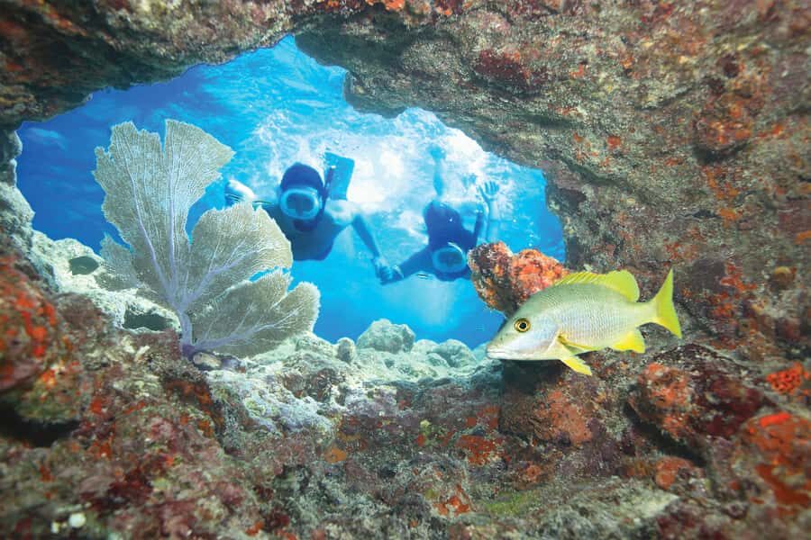 Key West Double Dip: 2-Stop Reef Snorkeling Trip - Key Points to Know Before You Go