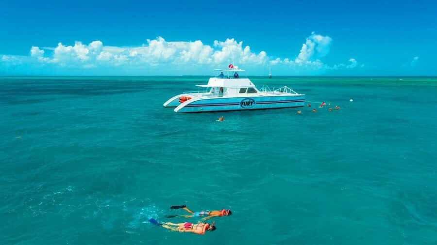 Key West Double Dip: 2-Stop Reef Snorkeling Trip - Sunset Combo Option: Reef Time, Then a Proper Key West Toast