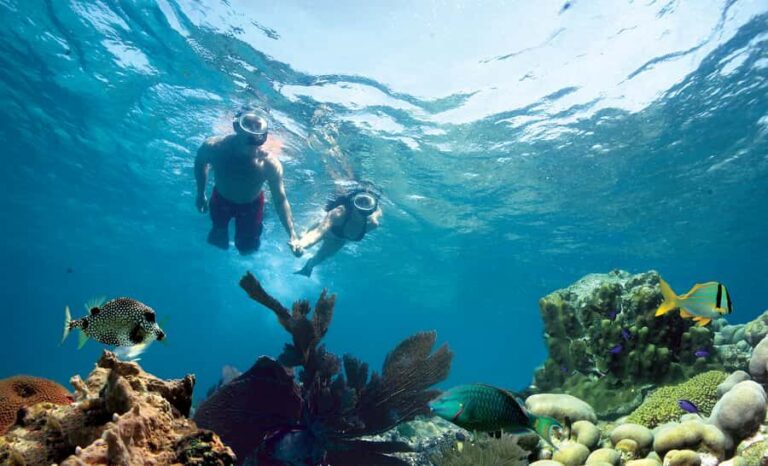 Key West Double Dip: 2-Stop Reef Snorkeling Trip - Finding the Fury Booth on Greene Street and Packing Smart