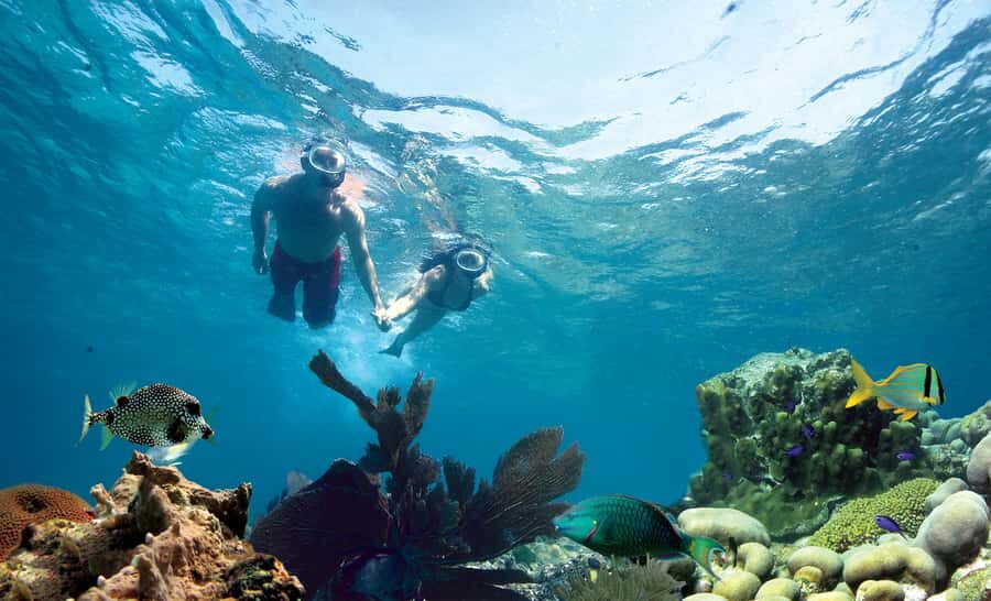 Key West Double Dip: 2-Stop Reef Snorkeling Trip - Finding the Fury Booth on Greene Street and Packing Smart