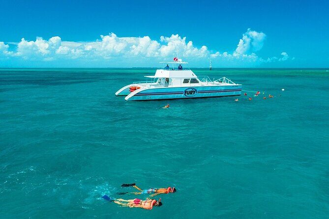 Key West Double-Dip Snorkel Tour-Two Stops, Twice the Fun! - Price and what you really get for $79.95