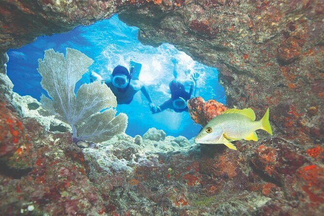 Key West Double-Dip Snorkel Tour-Two Stops, Twice the Fun! - Stop one and stop two: how you get two reef “stories” in one outing