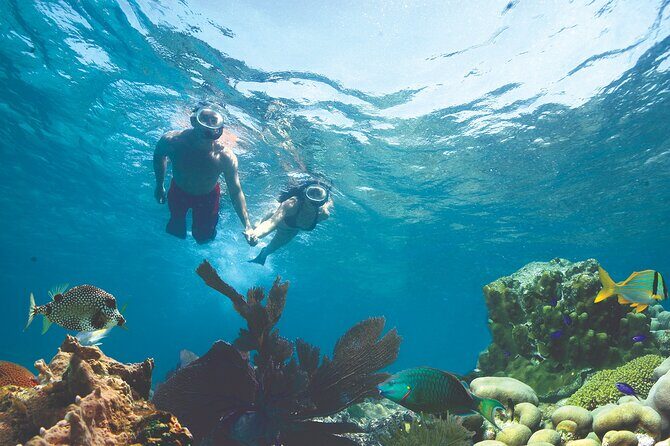 Key West Double-Dip Snorkel Tour-Two Stops, Twice the Fun! - The 3-hour flow: meeting at 631 Greene and what happens next