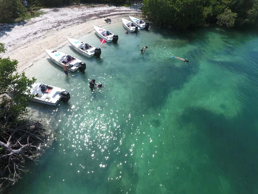 Key West: Eco Safari Sandbar Tour with Snorkeling - Key highlights at a glance