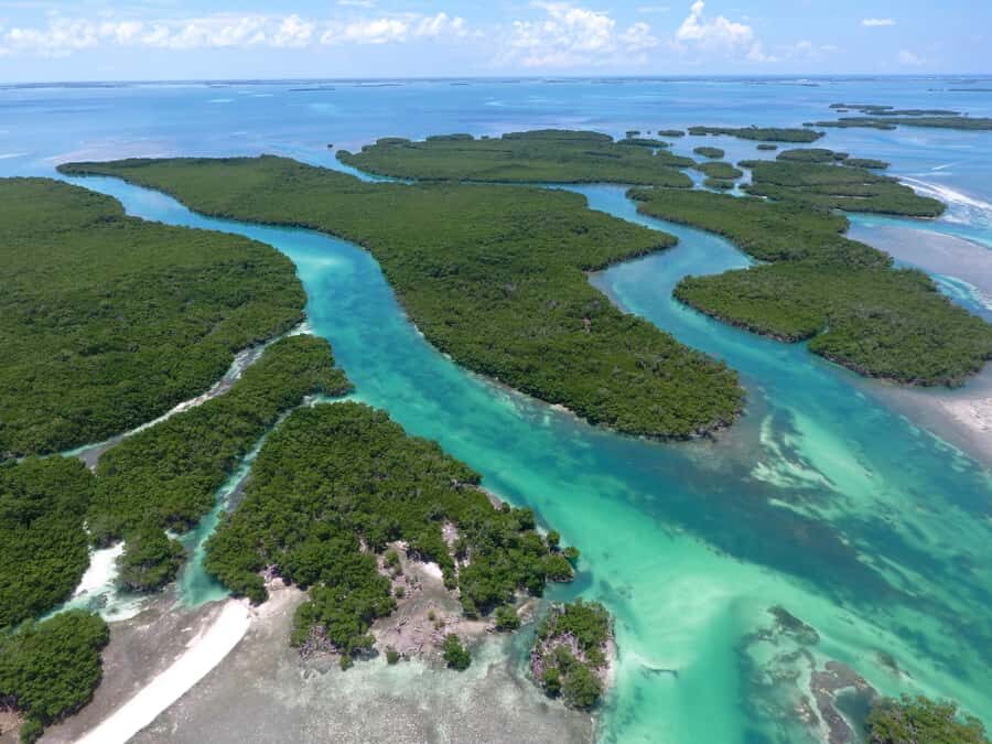 Key West: Eco Safari Sandbar Tour with Snorkeling - Cow Key Marina: meeting your guide and learning the pistol-boat routine