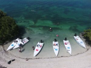 Key West: Eco Safari Sandbar Tour with Snorkeling - Back-country Key West by small boat through the mangrove maze