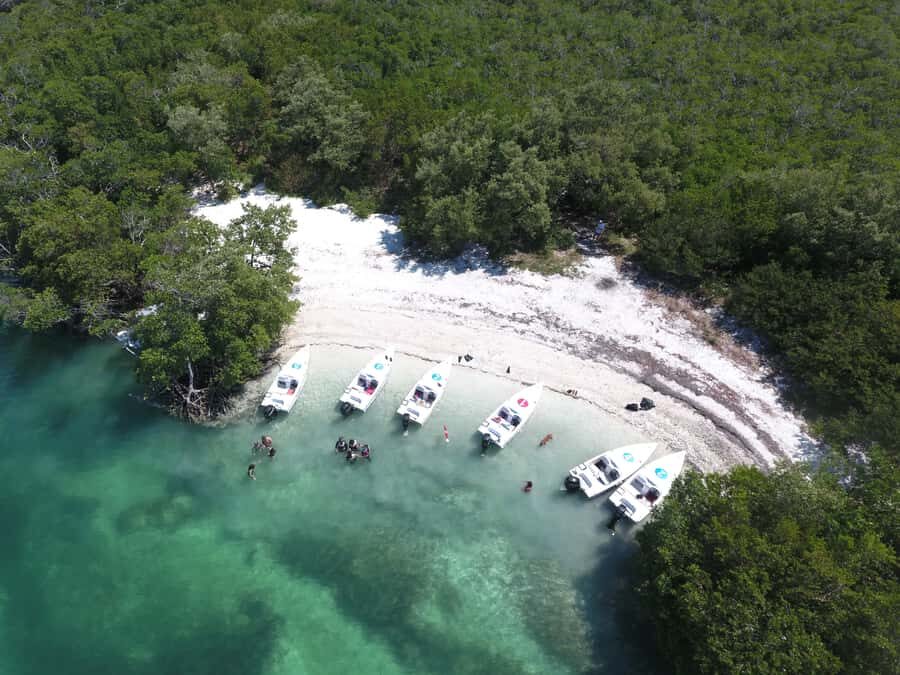 Key West: Eco Safari Sandbar Tour with Snorkeling - Mud Key sandbar stop: wading, hammocks, a swing, and snorkeling