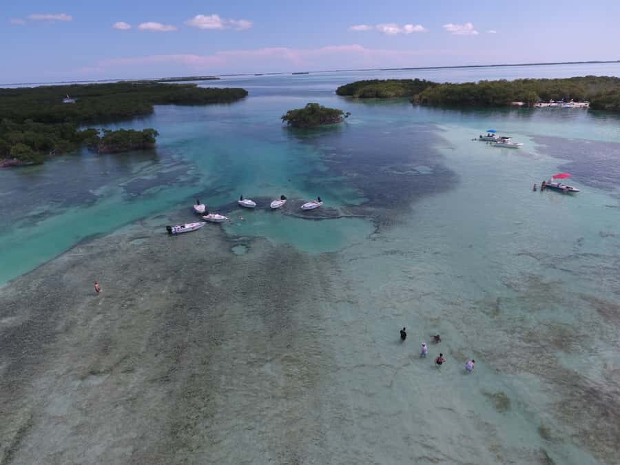 Key West: Eco Safari Sandbar Tour with Snorkeling - Price, group size, and what’s included in your 150 minutes