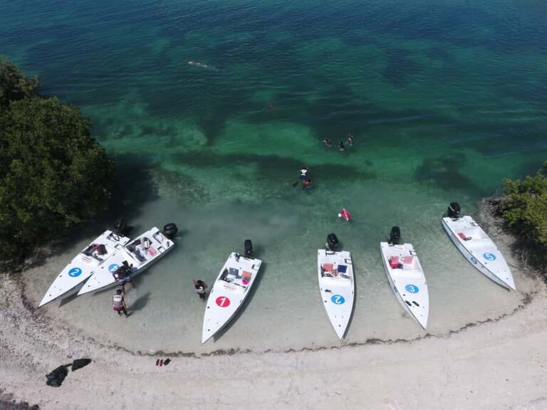 Key West: Eco Safari Sandbar Tour with Snorkeling - Back-country Key West by small boat through the mangrove maze