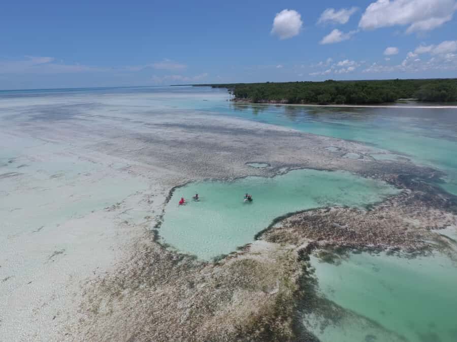 Key West: Eco Safari Sandbar Tour with Snorkeling - Should you book this Key West eco safari sandbar tour?