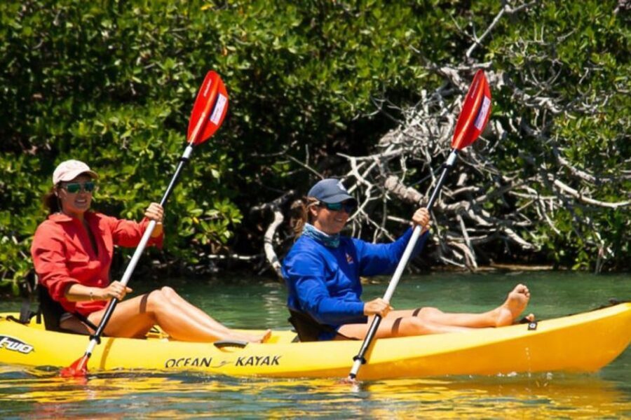 Key West: Full Day Tour of Key West National Wildlife Refuge - Key West National Wildlife Refuge Tour: 5 Things You’ll Actually Care About