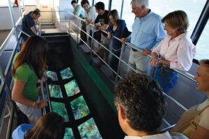 Key West Glass-Bottom Boat Tour with Sunset Option - What you’ll likely spot under the glass (and why it varies)