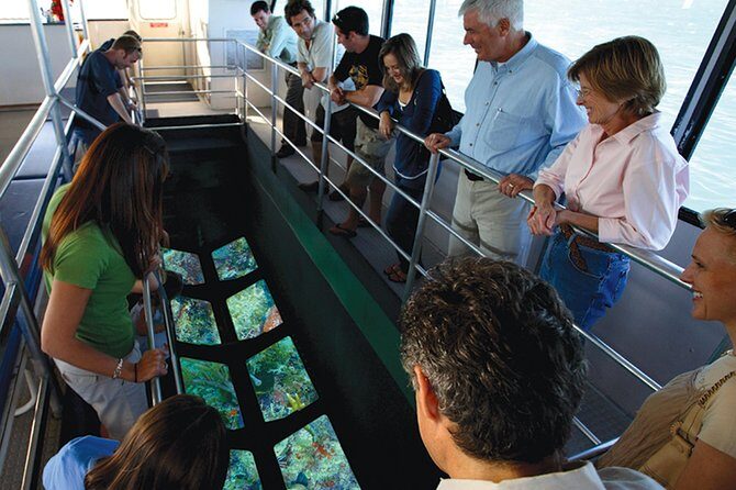 Key West Glass-Bottom Boat Tour with Sunset Option - What you’ll likely spot under the glass (and why it varies)