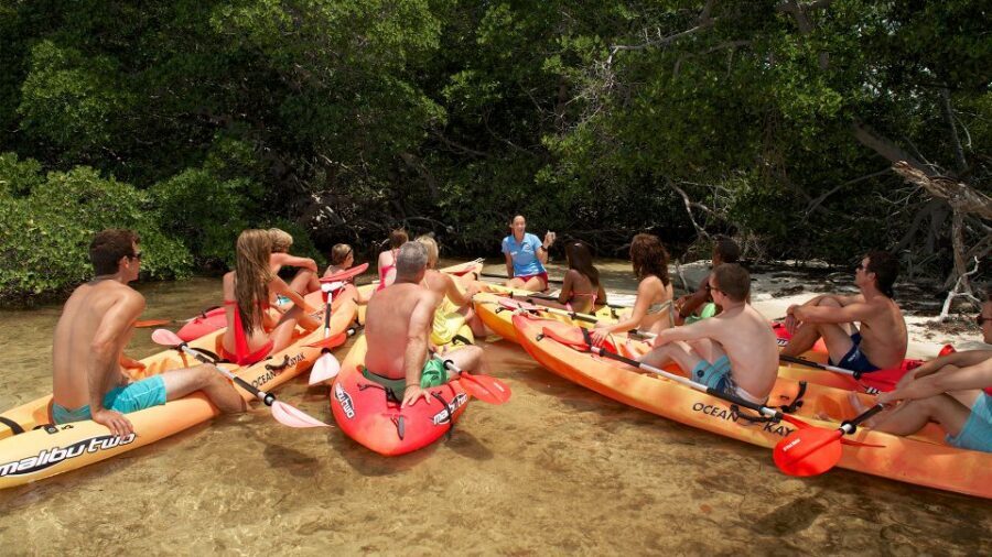 Key West: Island Adventure Explore the Hidden Backcountry - Who this tour suits best (and who should skip it)