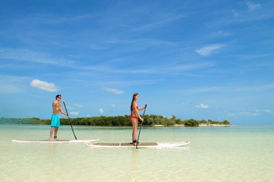 Key West: Island Adventure Explore the Hidden Backcountry - Check-in and timing: get there early and you’ll stay relaxed