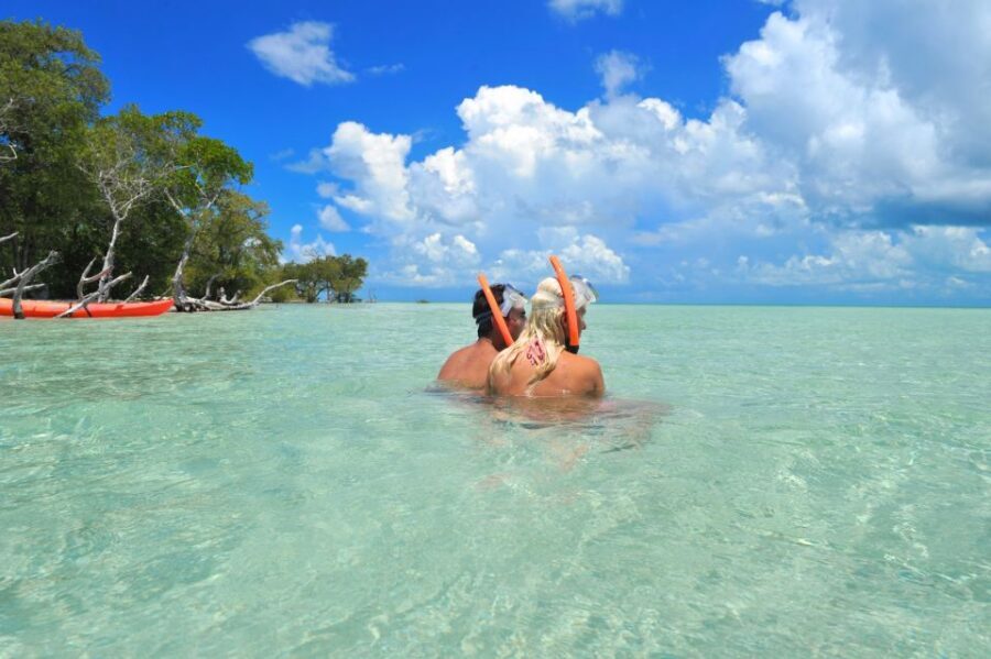 Key West: Island Adventure Explore the Hidden Backcountry - Step-off moment: sandbar time (and why tides run the show)