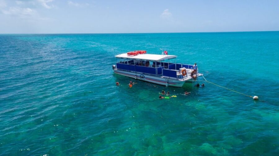 Key West: Island Adventure Explore the Hidden Backcountry - The mangrove kayak session: where the guide makes the difference