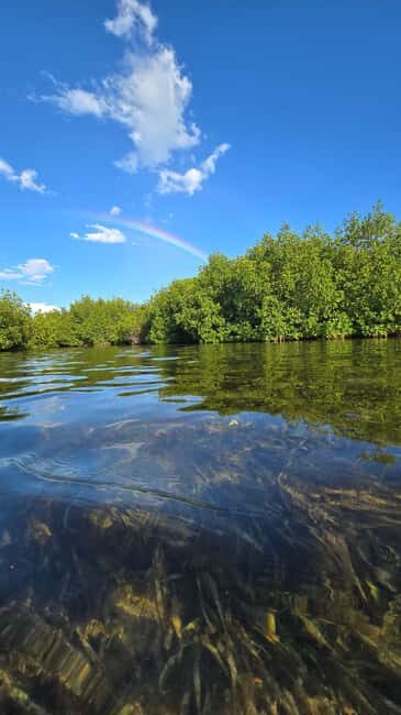 Key West: Kayak or Paddleboard Rental - Geiger Key Mangroves: The Real Reason to Rent Here