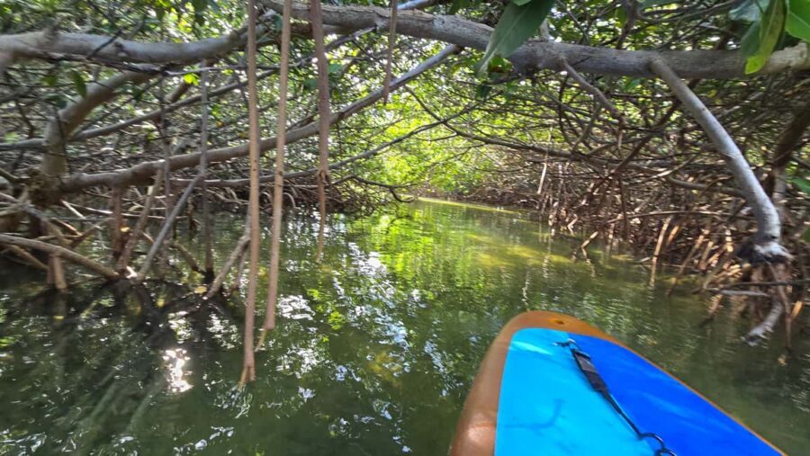Key West: Kayak or Paddleboard Rental - Your 2-Hour Paddle in Geiger Key: How the Time Actually Feels