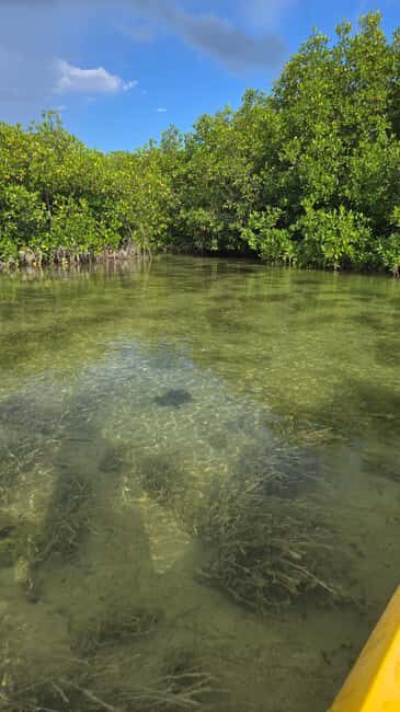 Key West: Kayak or Paddleboard Rental - Price and Value: Is $37 for 2 Hours Worth It?