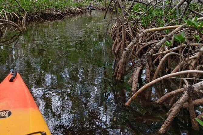 Key West Kayak Rental - Key West Kayak Rental: quick highlights