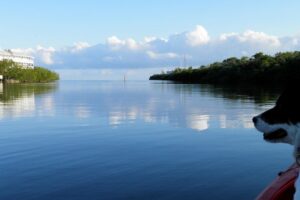 Key West Kayak Rental - Where you start: Stock Island check-in that feels organized