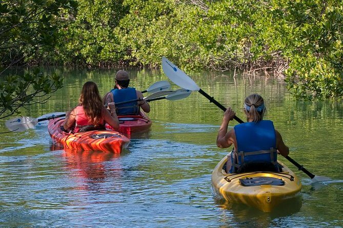 Key West Kayak Rental - The 2-hour plan: a self-guided paddle with a real route