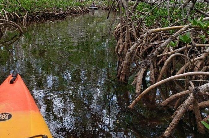 Key West Kayak Rental - Safety and comfort: gear, life vests, and what to bring mentally