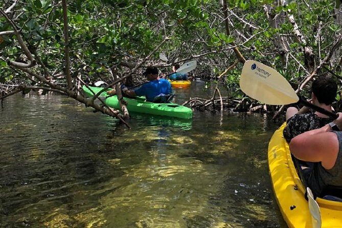 Key West Kayak Rental - Onsite perks: restrooms, food nearby, and a place to reset