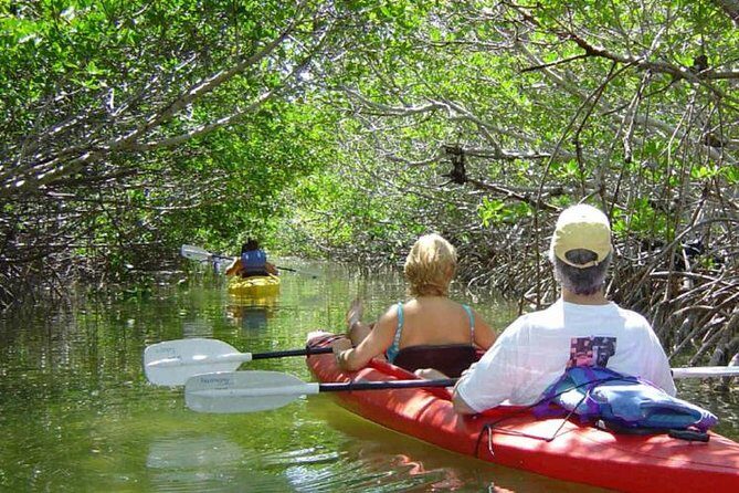 Key West Mangrove Kayak Eco Tour - Key Points to Know Before You Go