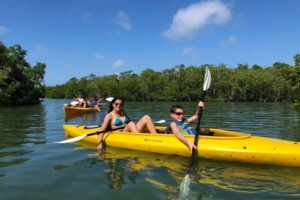 Key West Mangrove Kayak Eco Tour - The 2-Hour Flow: Easy Paddling, Small Group Control
