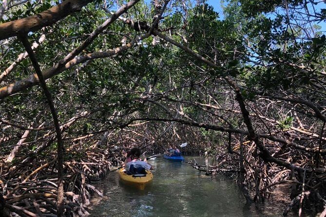 Key West Mangrove Kayak Eco Tour - Learning the Florida Keys Geology While You Paddle
