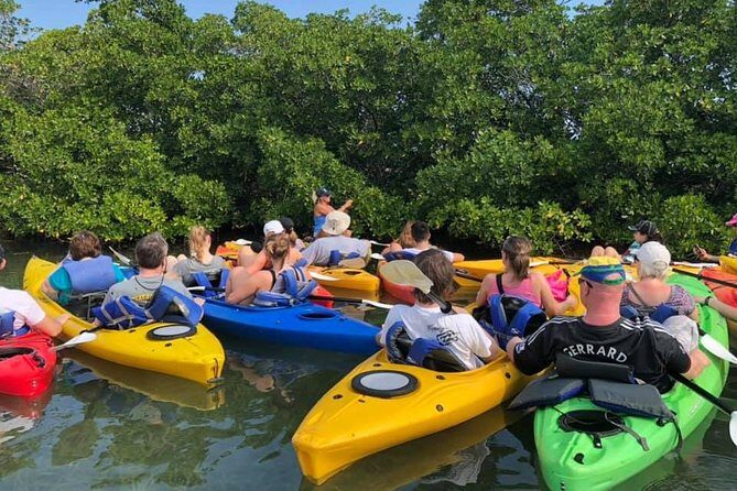 Key West Mangrove Kayak Eco Tour - What to Bring (And What You Can Rent or Buy)