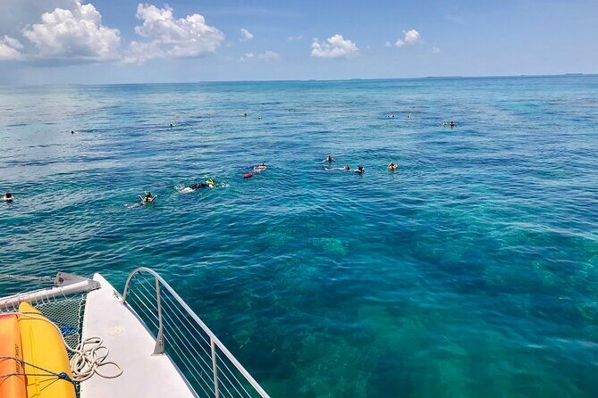 Key West Morning Snorkel Sail with Mimosas and Gourmet Breakfast - How the Crew Picks the Reef Spot in Real Time