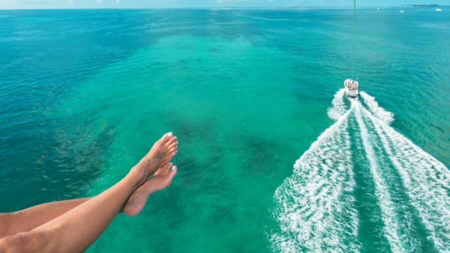 Key West: Parasailing Above the Island Paradise - Dolphins, Sea Turtles, and Birds From Above