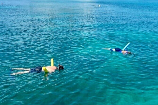 Key West Private 6-Person Sandbar & Snorkeling Charter - What Makes This Charter Worth the Money in Key West?