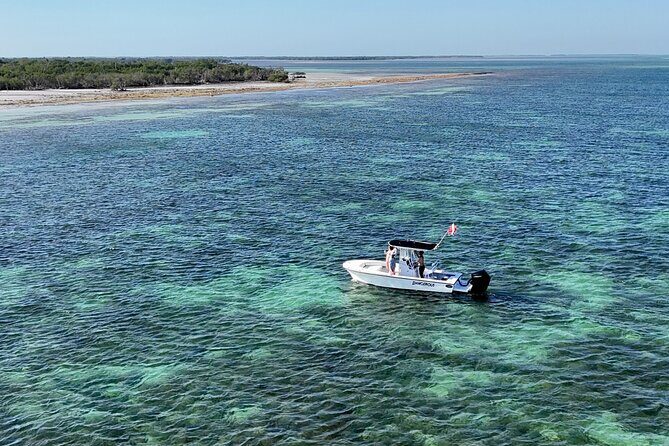 Key West Private 6-Person Sandbar & Snorkeling Charter - Sandbar Time: Why It’s More Than Just Lounging