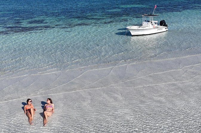 Key West Private 6-Person Sandbar & Snorkeling Charter - Dolphin Chances and Wildlife: How to Make the Most of Your Cruise