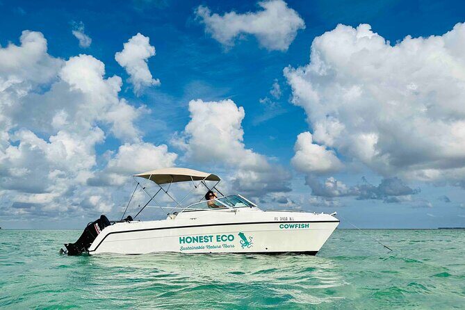 Key West Private Charter: Sandbar and Snorkeling - Snorkeling on the reef: conditions decide, gear helps