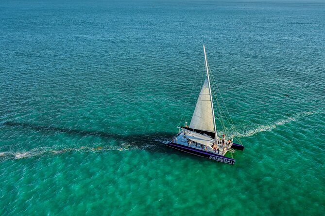 Key West Ragin' Cajun Seafood Two Stop Snorkel Adventure - Stop 3: Sand Key Reef snorkeling, where the fish action happens