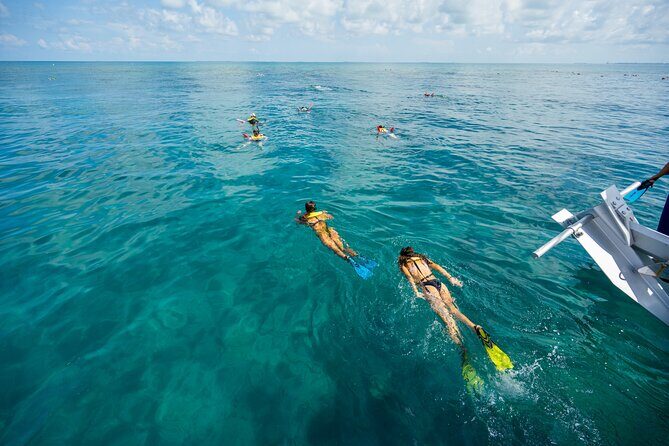 Key West Ragin' Cajun Seafood Two Stop Snorkel Adventure - Getting on the boat: 205 Elizabeth St and early check-in