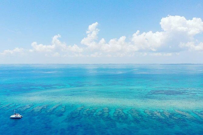 Key West Reef Morning Snorkeling with Breakfast and Mimosas - Snorkeling Lessons and Getting Your Gear Right