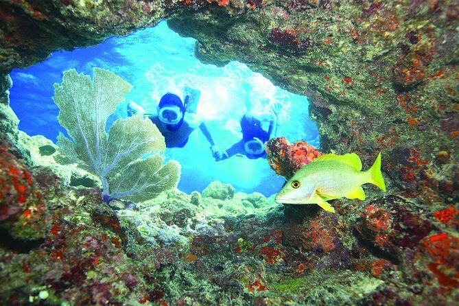 Key West Reef Snorkel – Morning Mimosas or Afternoon Margaritas - Key Highlights You’ll Feel on the Water