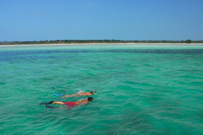 Key West Reef Snorkel – Morning Mimosas or Afternoon Margaritas - Easy Entry With the Stairway to the Sea (And the Reality Check on Choppy Water)