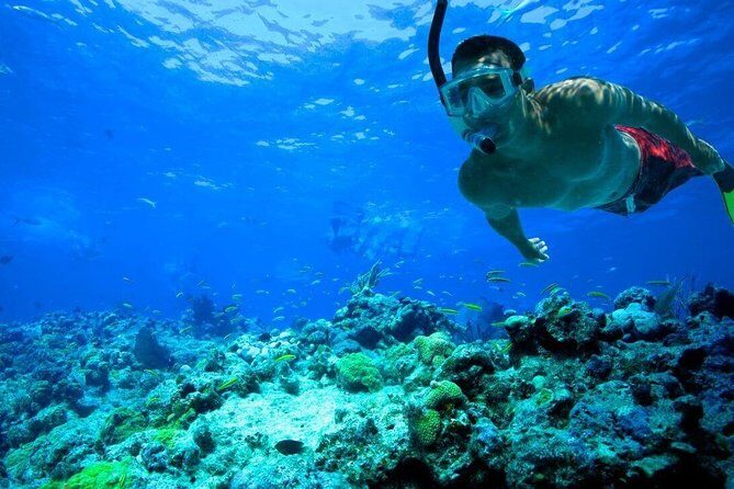 Key West Reef Snorkel – Morning Mimosas or Afternoon Margaritas - The Drink Part: How to Enjoy It Without Ruining the Water Time